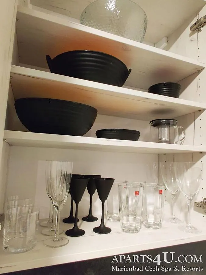 Apartment Stilvoll Marienbad 0*, Marianske Lazne Czech Republic