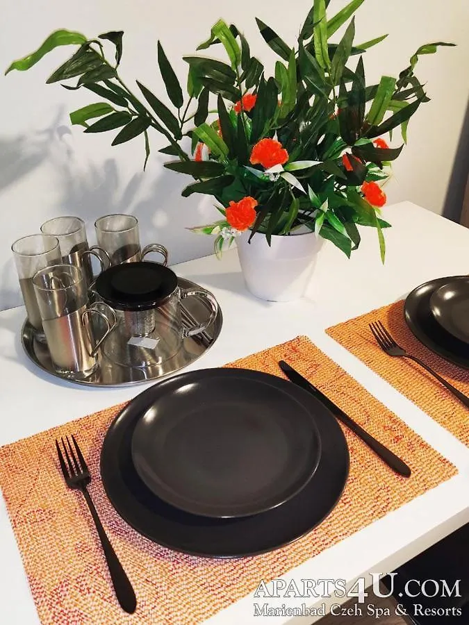 Apartment Stilvoll Marienbad