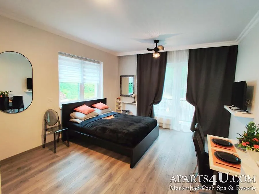 Apartment Stilvoll Marienbad Czech Republic